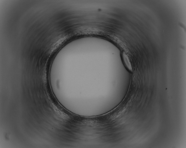 X0000093090629200710171139