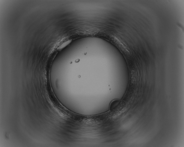 X0000093090634200710171139