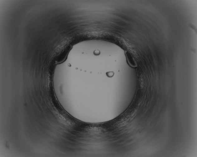 X0000093090637200710171139