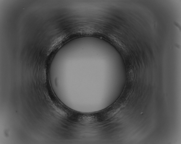 X0000093090638200710171139