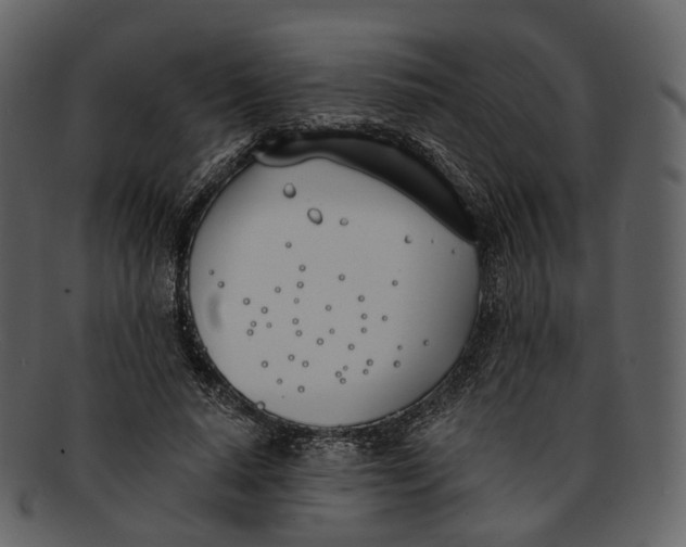 X0000093090640200710171139