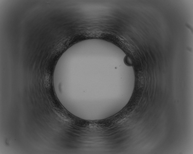 X0000093090641200710171139