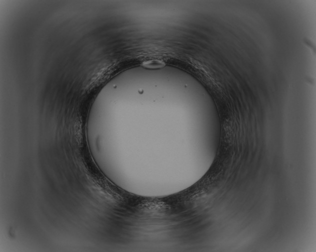 X0000093090642200710171139