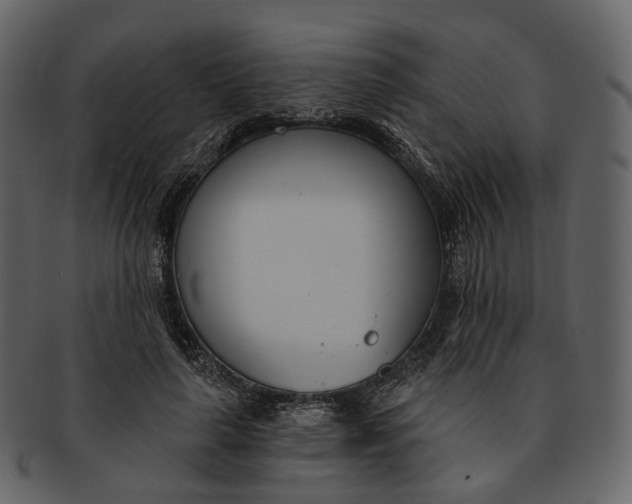 X0000093090643200710171139