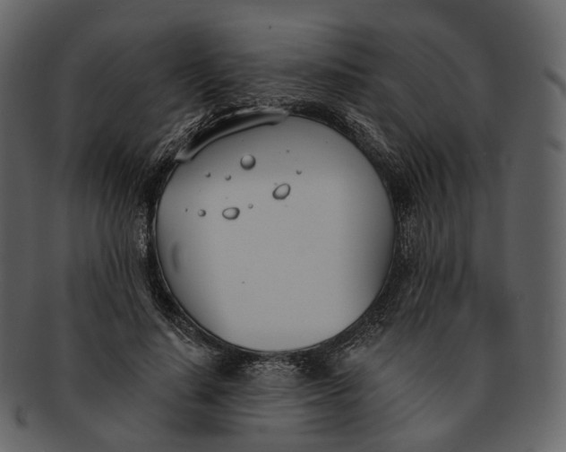 X0000093090644200710171139