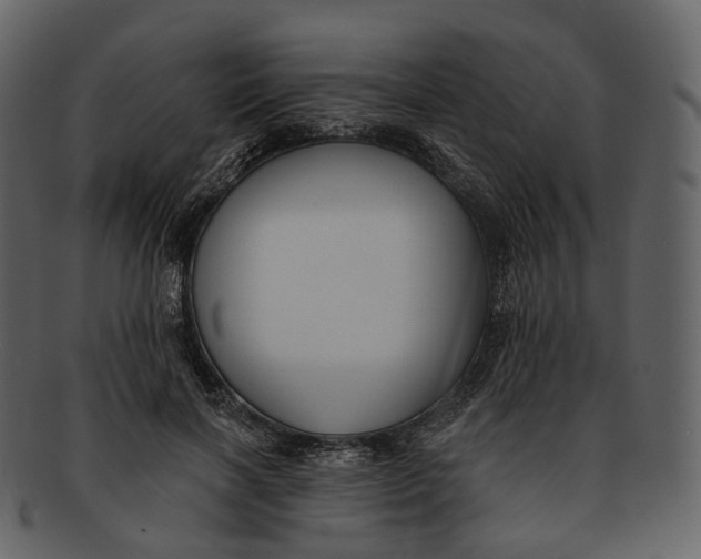 X0000093090646200710171139