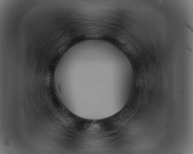 X0000093090647200710171139