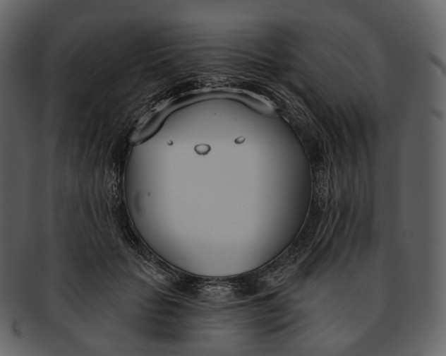 X0000093090653200710171139