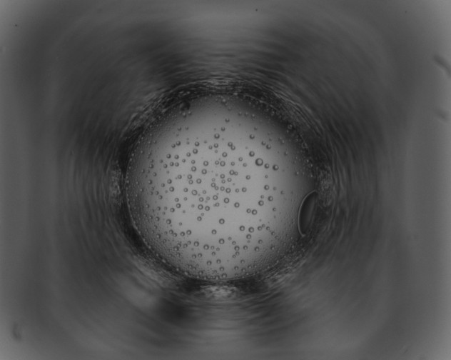 X0000093090654200710171139