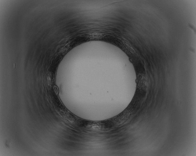 X0000093090655200710171139