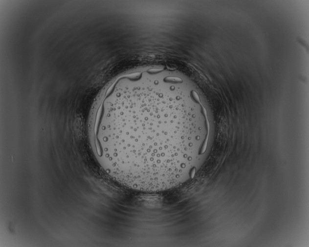 X0000093090659200710171139