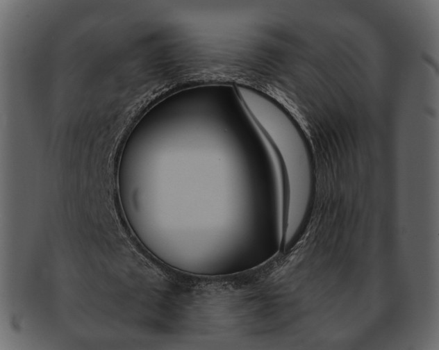 X0000093090673200710171138