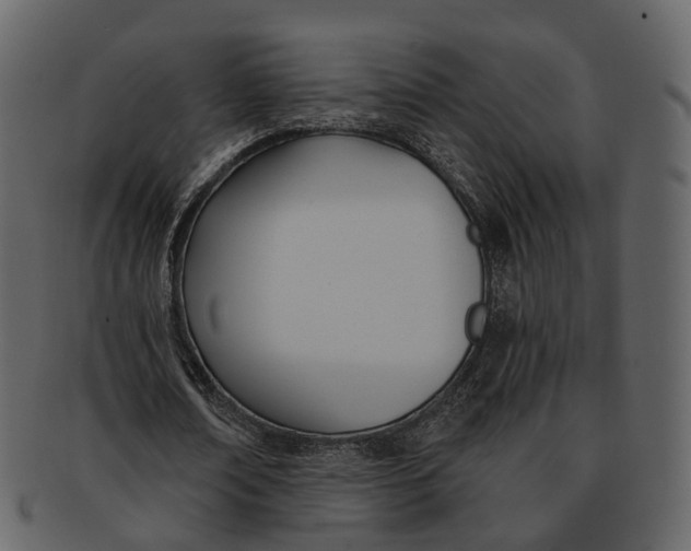 X0000093090674200710171138