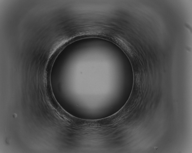 X0000093090676200710171138