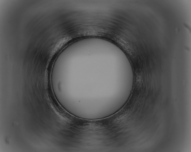 X0000093090678200710171138