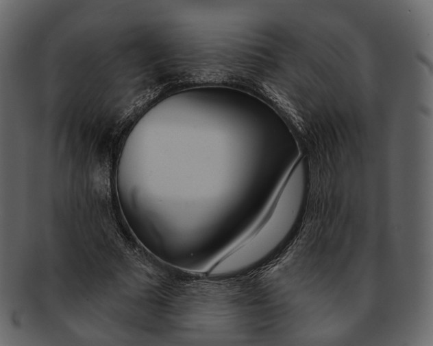 X0000093090681200710171138