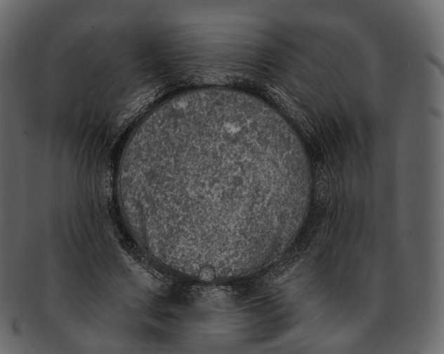 X0000093090683200710171138