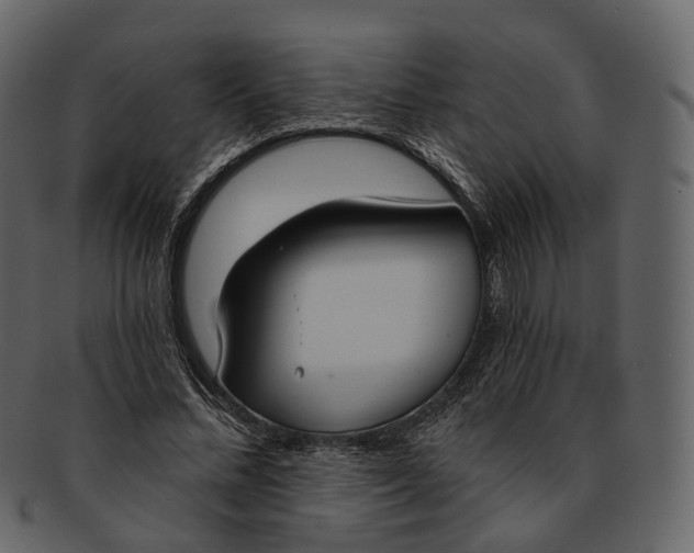 X0000093090684200710171138