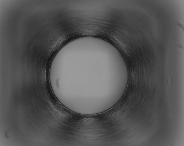 X0000093090686200710171138