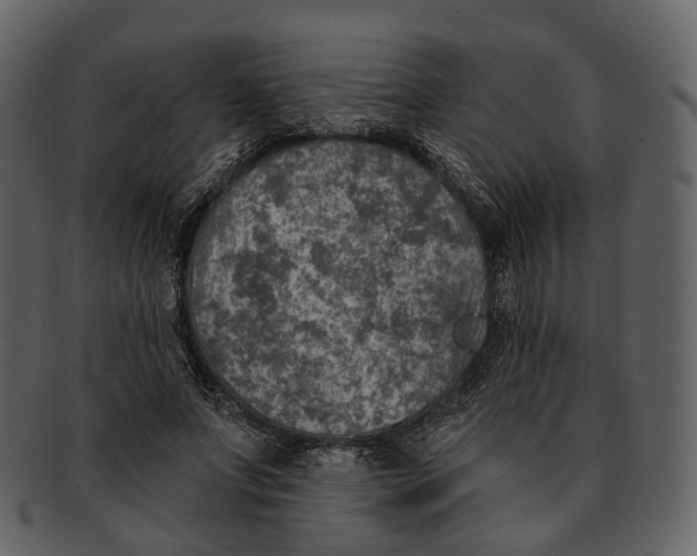 X0000093090687200710171138