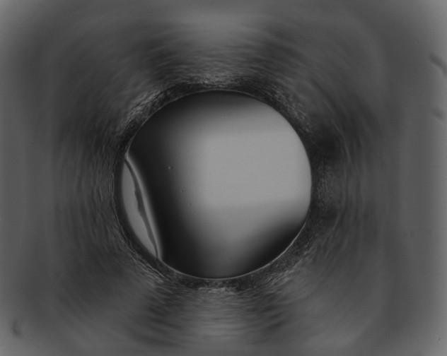 X0000093090689200710171138