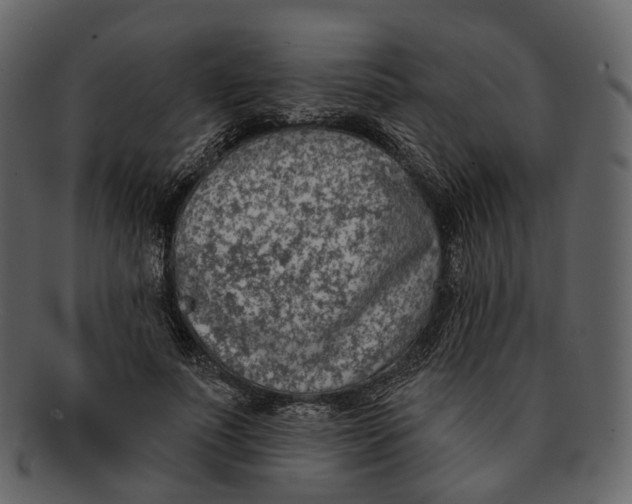 X0000093090691200710171138