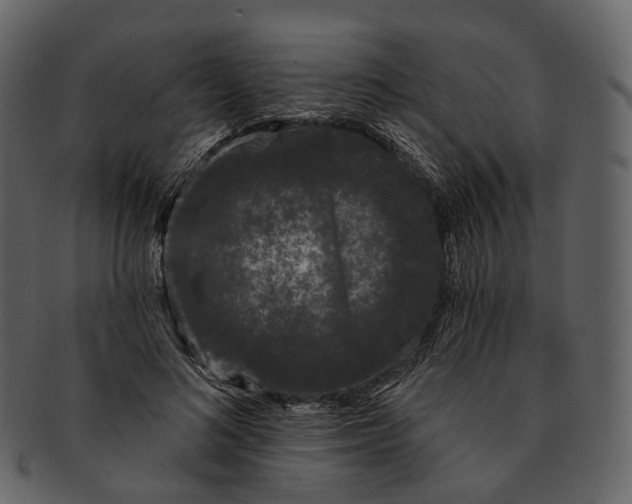 X0000093090692200710171138