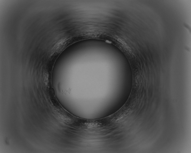 X0000093090693200710171138