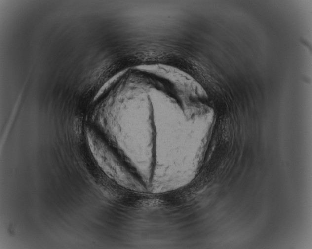 X0000093090695200710171138