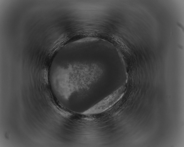 X0000093090696200710171138