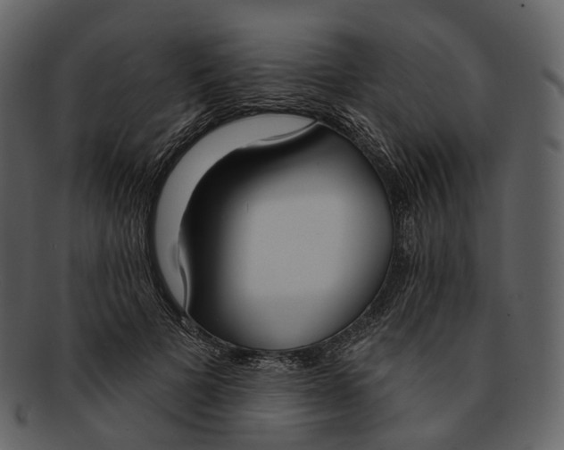 X0000093090697200710171138