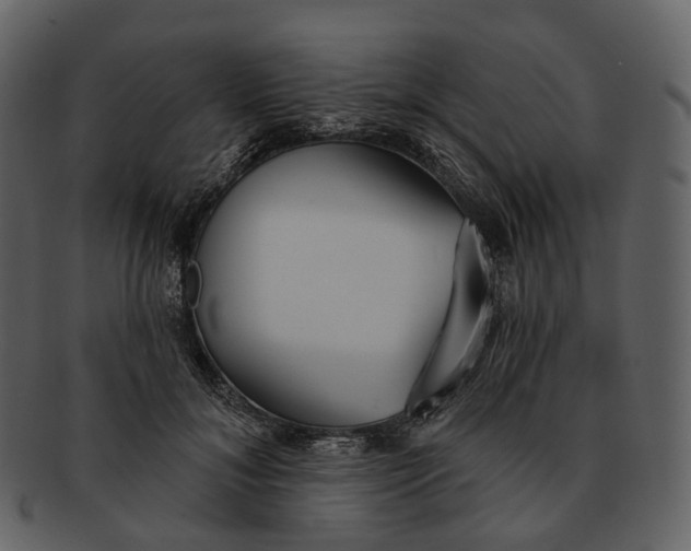 X0000093090700200710171138