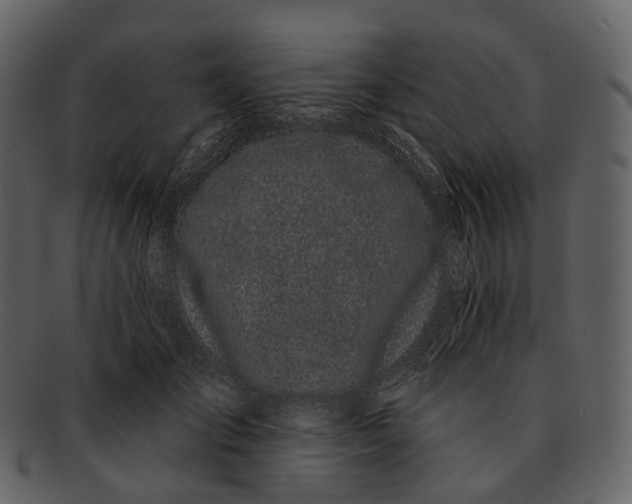 X0000093090701200710171138