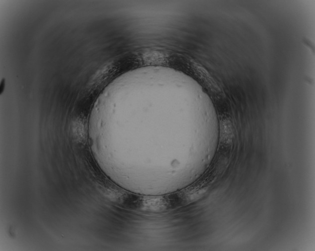 X0000093090705200710171138