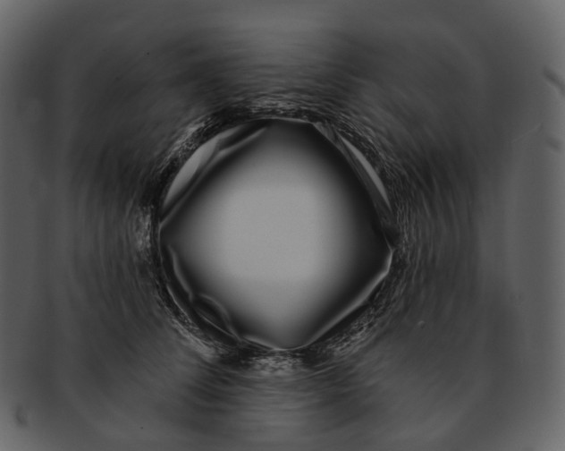 X0000093090708200710171138