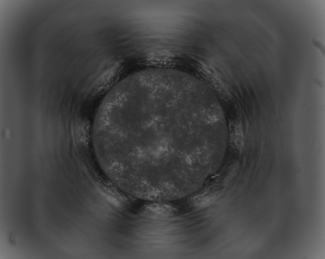 X0000093090712200710171138