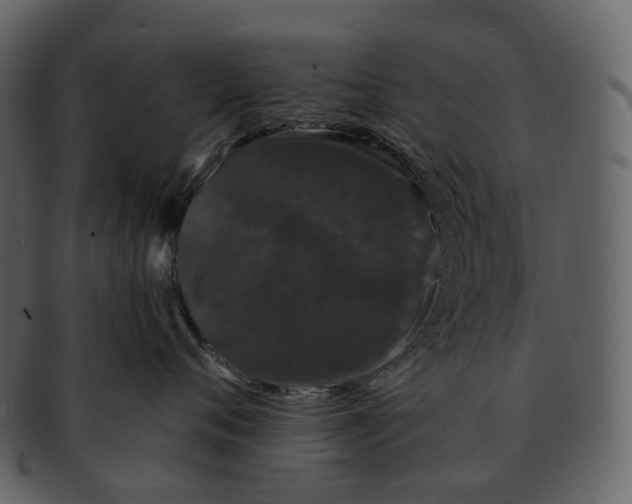 X0000093090720200710171138