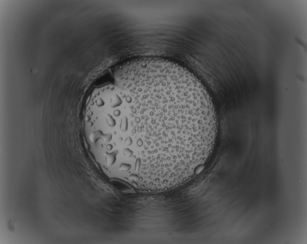 X0000093090721200710171137