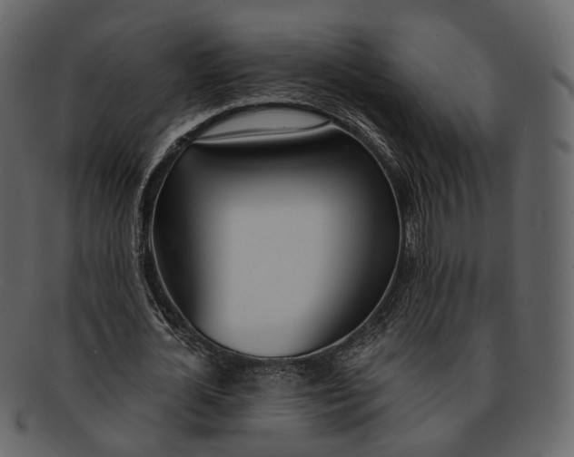 X0000093090724200710171137