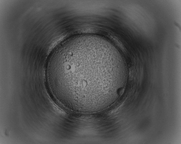 X0000093090725200710171137