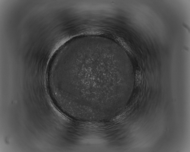 X0000093090726200710171137