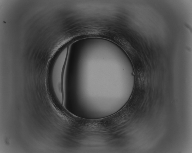 X0000093090728200710171137