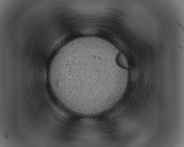 X0000093090733200710171137