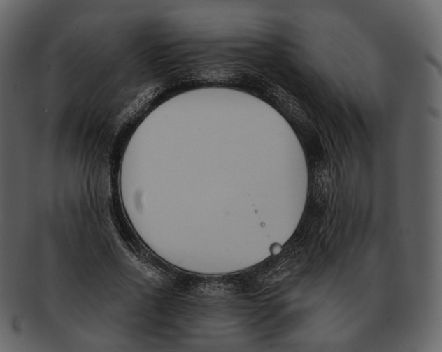 X0000093090734200710171137