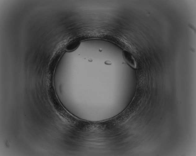 X0000093090736200710171137