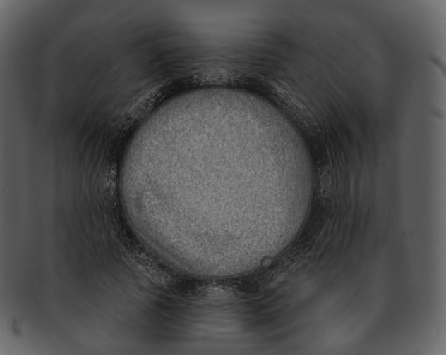 X0000093090737200710171137