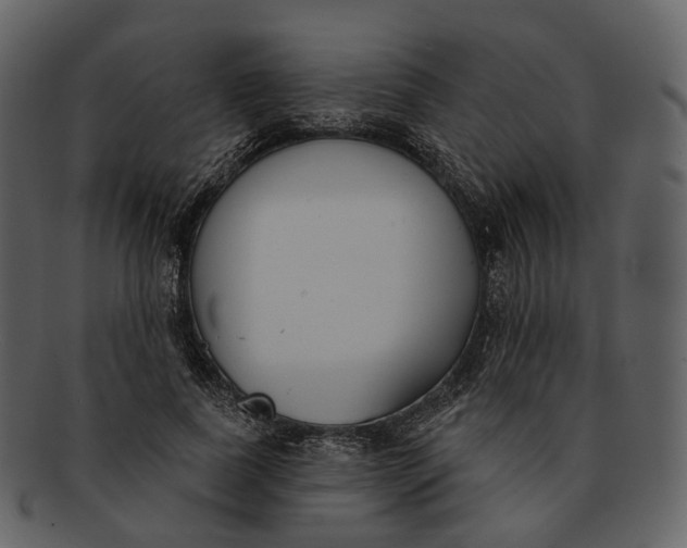 X0000093090739200710171137