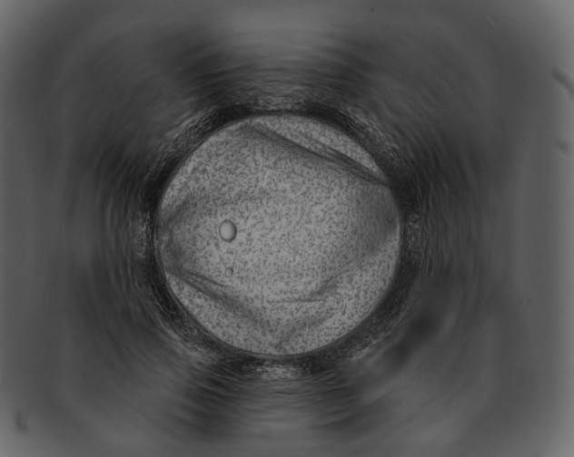 X0000093090741200710171137