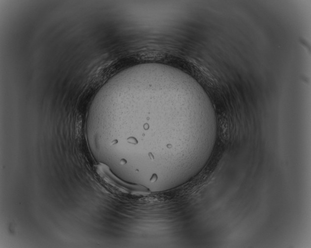 X0000093090745200710171137