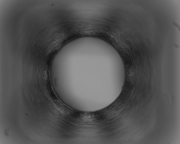 X0000093090746200710171137